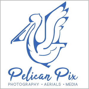 Pelican Pix